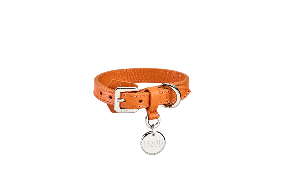 Collare Arancio
