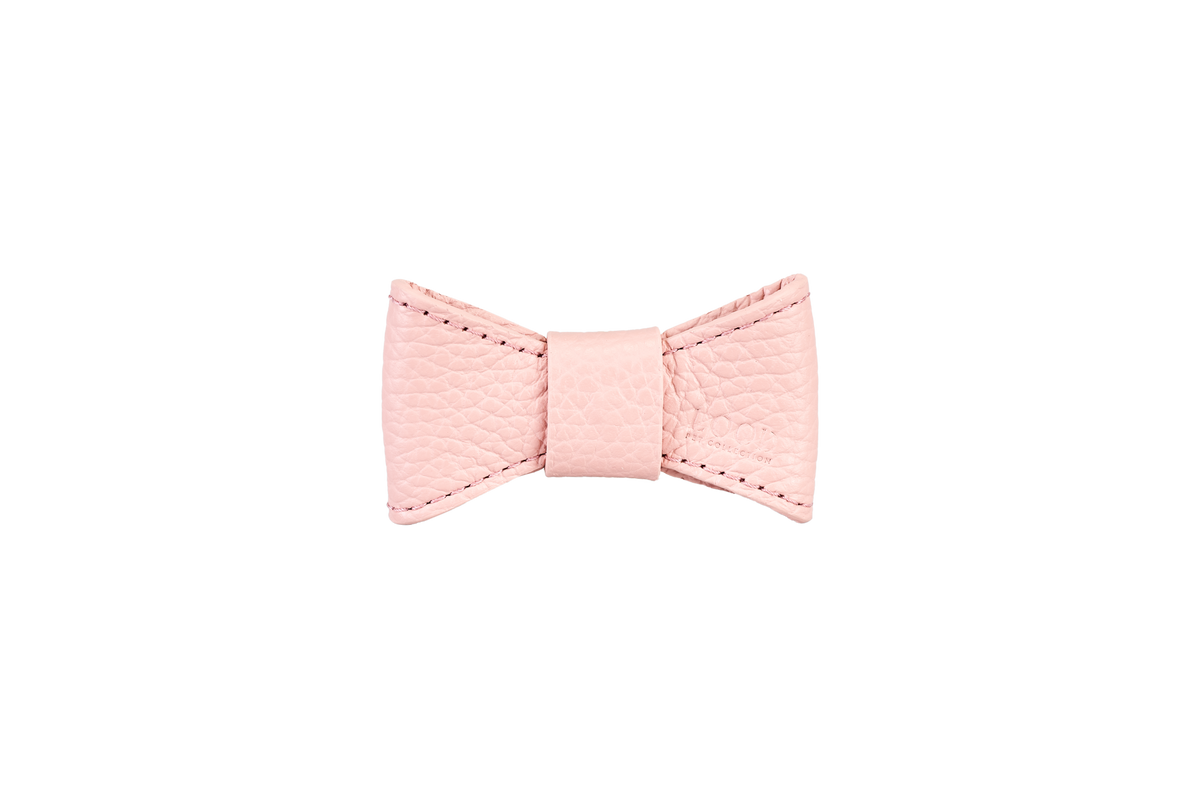 Fiocco