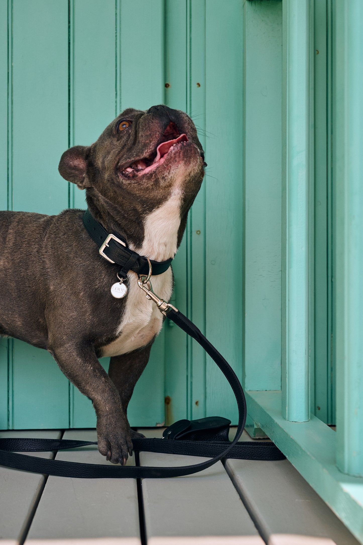 Guinzaglio Ribes Nero