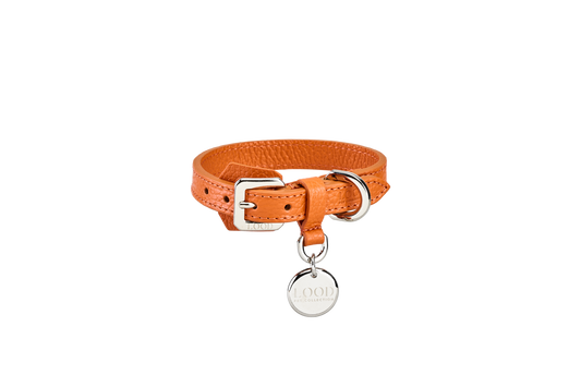 Collare Arancio