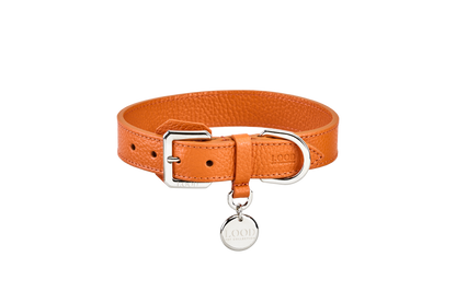 Collare Arancio