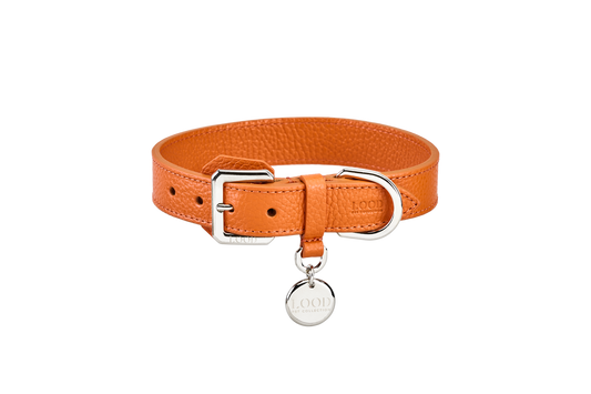Collare Arancio