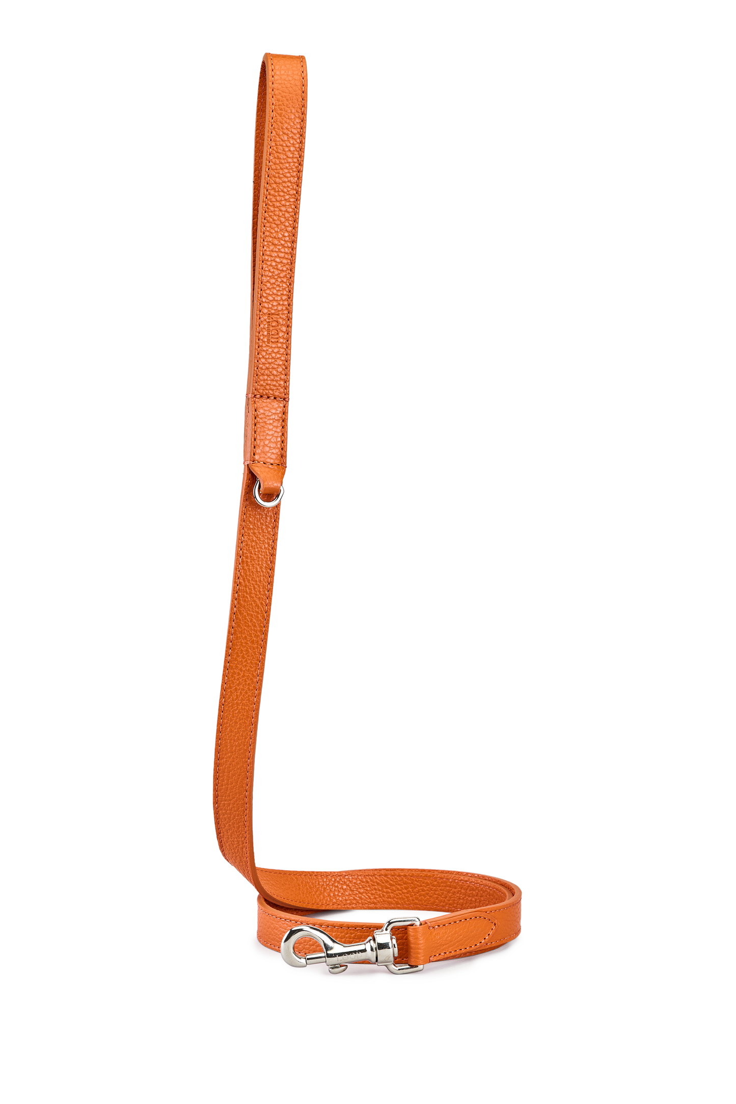 Guinzaglio Arancio