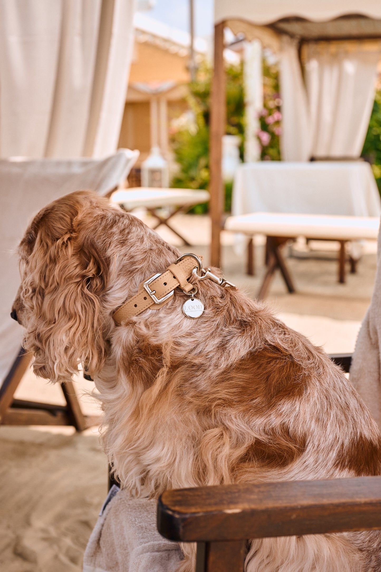 Collare Melone bianco