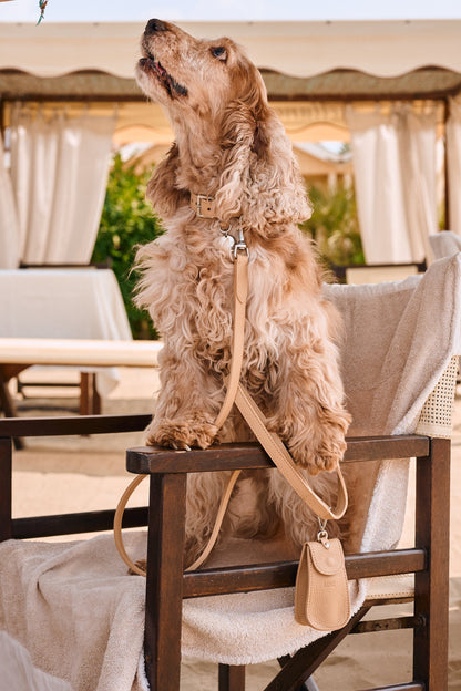 Guinzaglio Melone Bianco