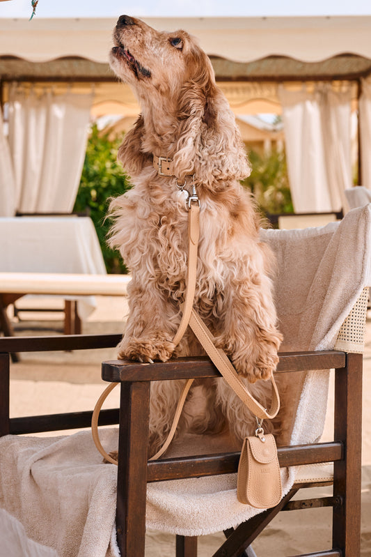 Guinzaglio Melone Bianco